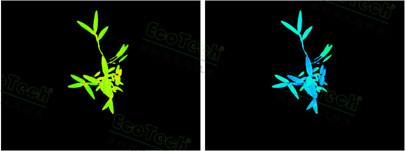 ��ҳ| ����֮��hy590���¹ٷ���վ