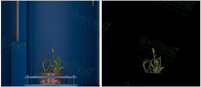 ��ҳ| ����֮��hy590���¹ٷ���վ