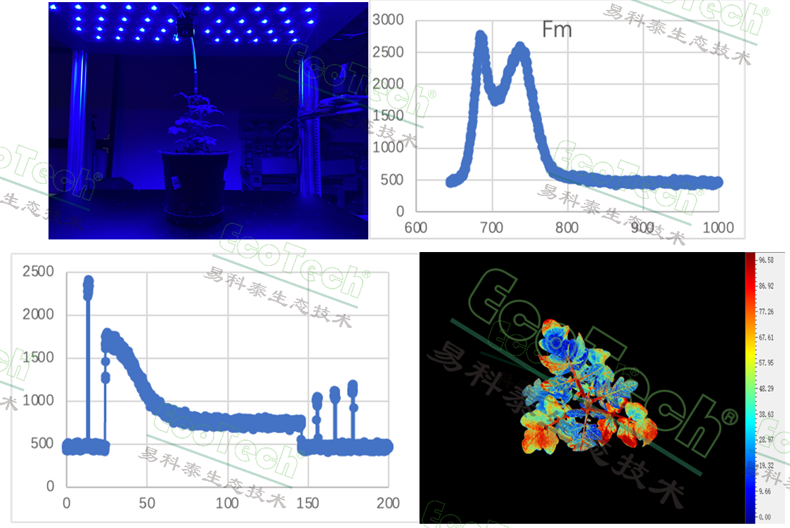 ��ҳ| ����֮��hy590���¹ٷ���վ