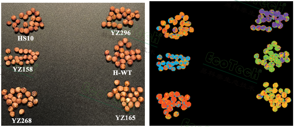 ��ҳ| ����֮��hy590���¹ٷ���վ