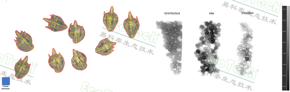 ��ҳ| ����֮��hy590���¹ٷ���վ