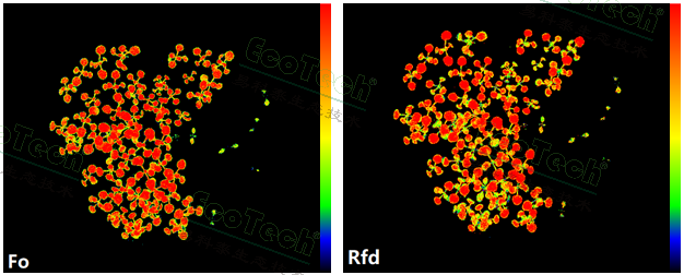 ��ҳ| ����֮��hy590���¹ٷ���վ