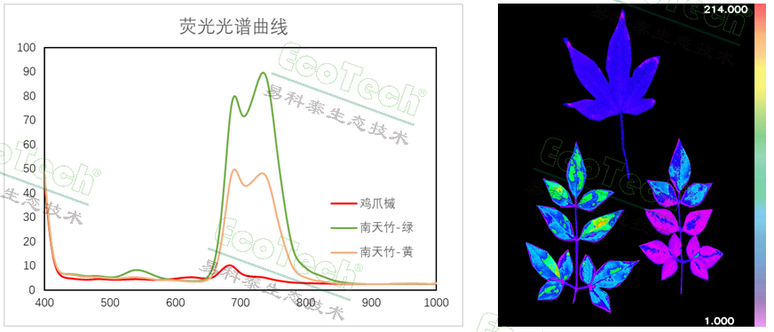 ��ҳ| ����֮��hy590���¹ٷ���վ