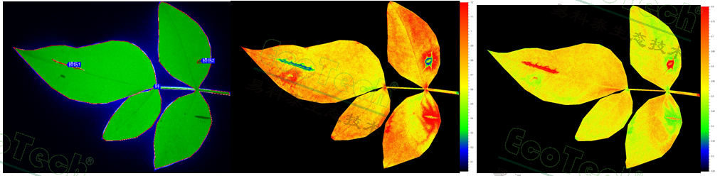 ��ҳ| ����֮��hy590���¹ٷ���վ