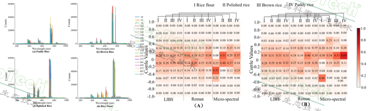首页| 海洋之神hy590最新官方网站
