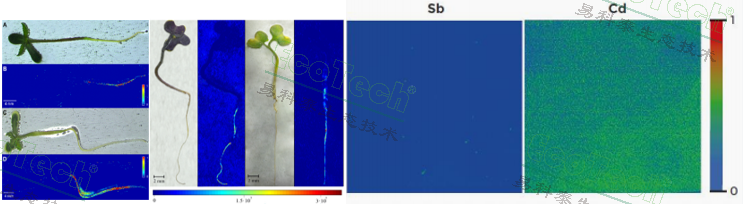 首页| 海洋之神hy590最新官方网站