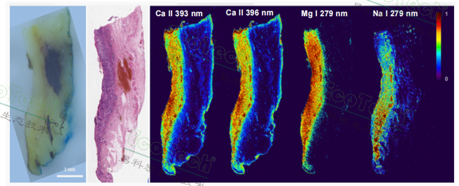 首页| 海洋之神hy590最新官方网站