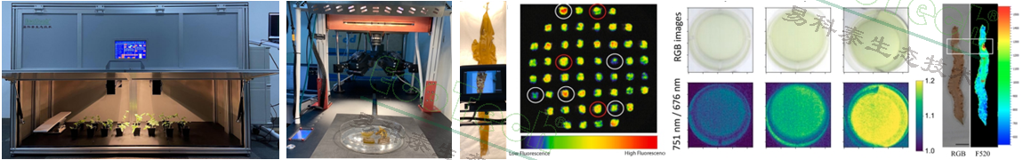 ��ҳ| ����֮��hy590���¹ٷ���վ