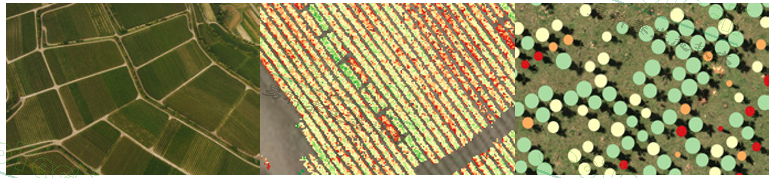 Ê×Ò³| º£ÑóÖ®Éñhy590×îйٷ½ÍøÕ¾