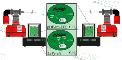Ê×Ò³| º£ÑóÖ®Éñhy590×îйٷ½ÍøÕ¾