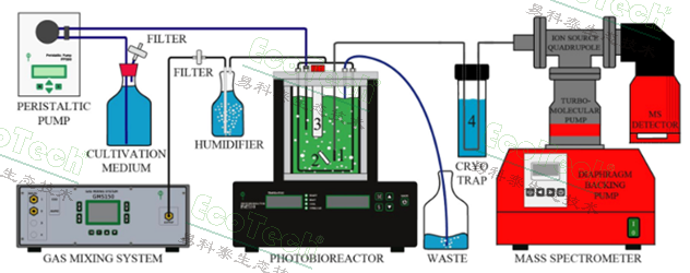 Ê×Ò³| º£ÑóÖ®Éñhy590×îйٷ½ÍøÕ¾