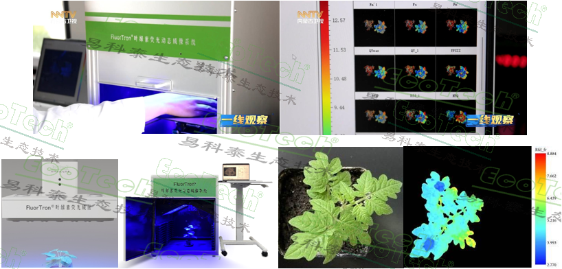 Ê×Ò³| º£ÑóÖ®Éñhy590×îйٷ½ÍøÕ¾