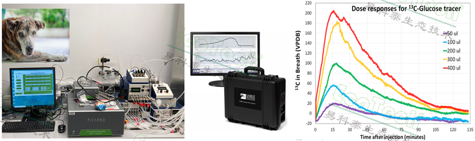 ��ҳ| ����֮��hy590���¹ٷ���վ