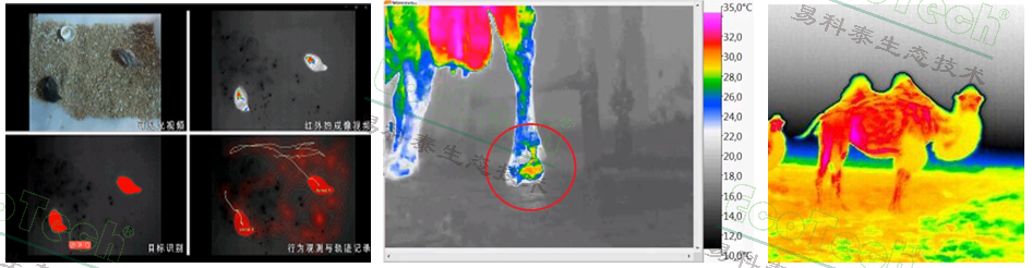 ��ҳ| ����֮��hy590���¹ٷ���վ