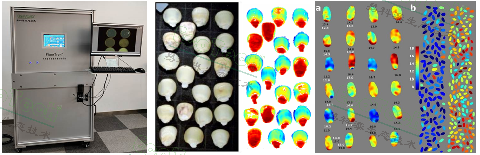 ��ҳ| ����֮��hy590���¹ٷ���վ