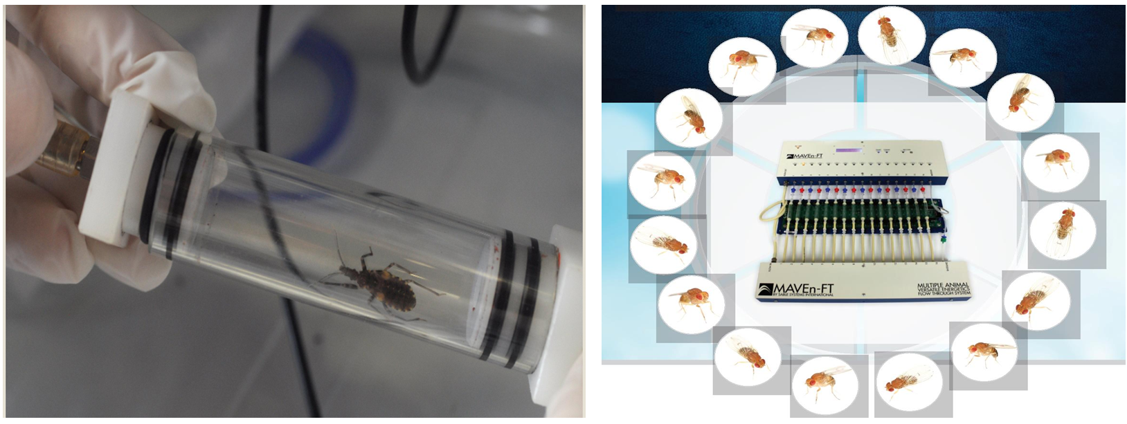 ΢ÐŽØÍ¼_20220526093225.png ΢ÐŽØÍ¼_20220526093225.png