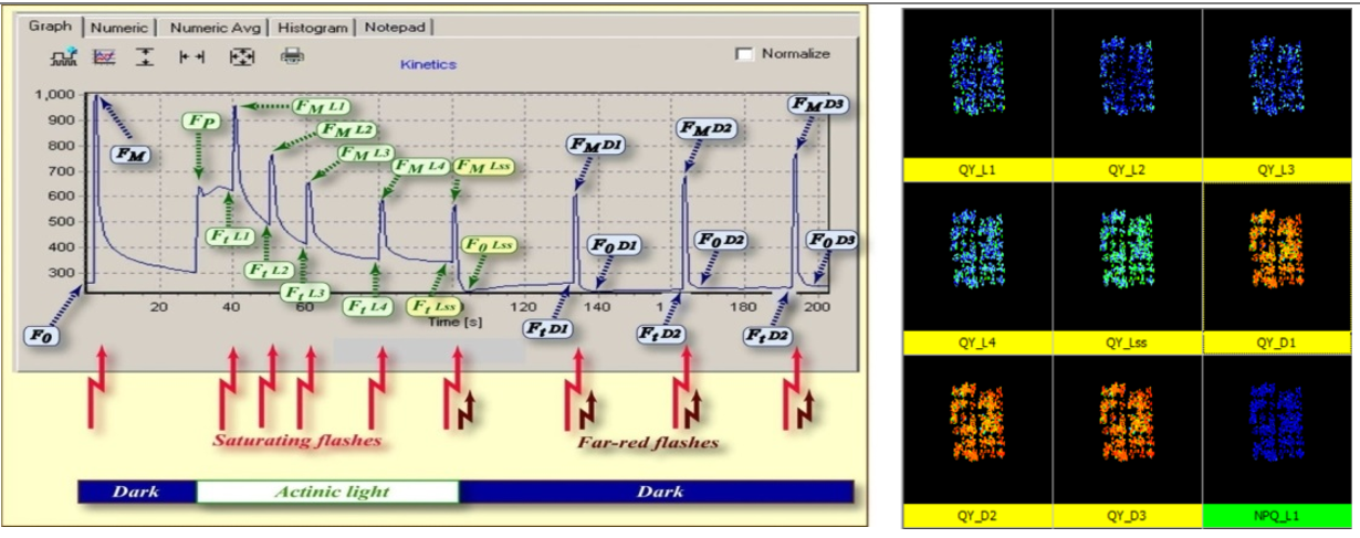 ΢ÐŽØÍ¼_20220610173346.png ΢ÐŽØÍ¼_20220610173346.png