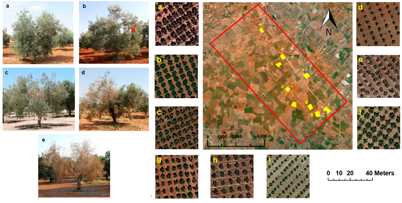 ΢ÐŽØÍ¼_20211217155817.png ΢ÐŽØÍ¼_20211217155817.png