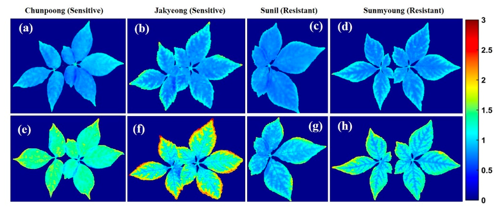 微信截图_20230818140352.png 微信截图_20230818140352.png