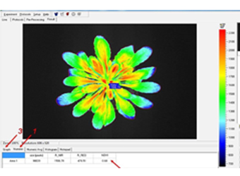 ģ��������������ʽֲ����ͳ�������ϵͳ