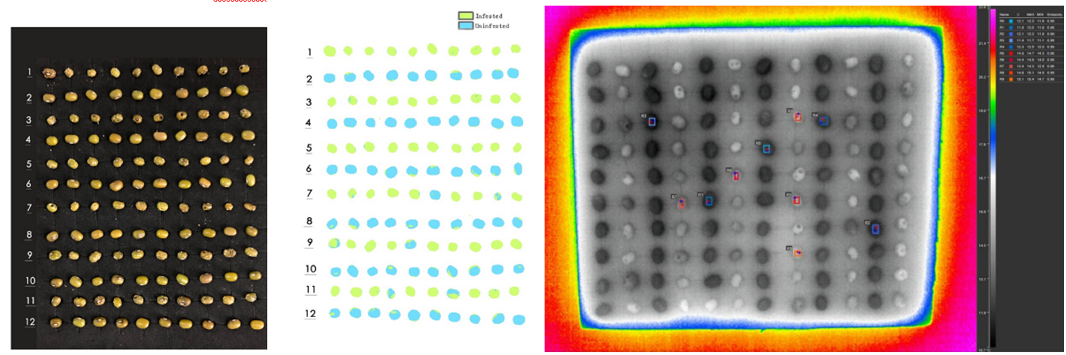 ΢ÐŽØÍ¼_20220802165042.png ΢ÐŽØÍ¼_20220802165042.png