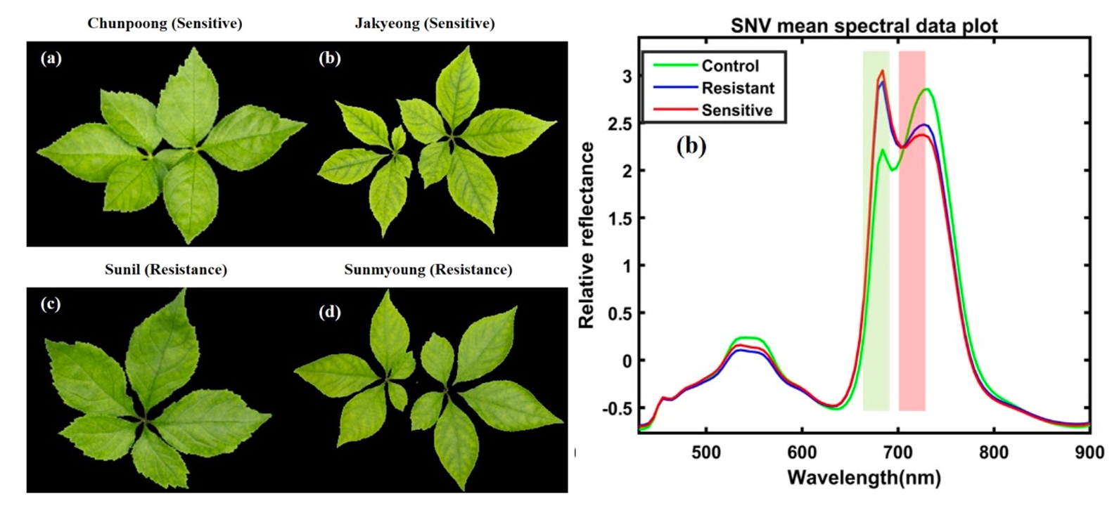 微信截图_20230818140339.png 微信截图_20230818140339.png