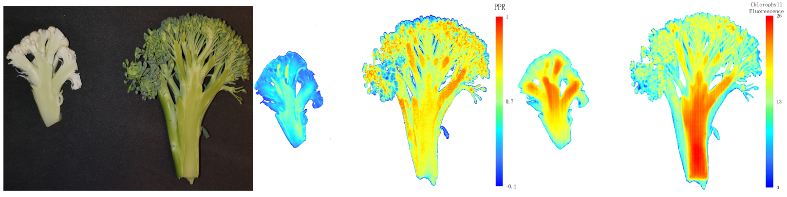 ΢ÐŽØÍ¼_20220507152853.png ΢ÐŽØÍ¼_20220507152853.png