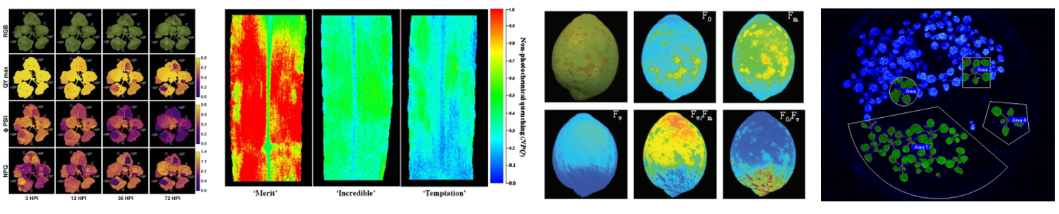 ΢ÐŽØÍ¼_20220610173416.png ΢ÐŽØÍ¼_20220610173416.png