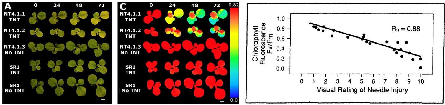 ΢ÐŽØÍ¼_20220801100453.png ΢ÐŽØÍ¼_20220801100453.png