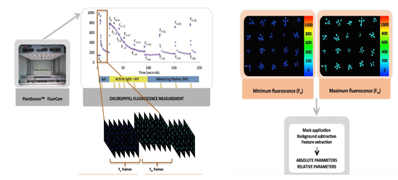 ΢ÐŽØÍ¼_20230404113949.png ΢ÐŽØÍ¼_20230404113949.png