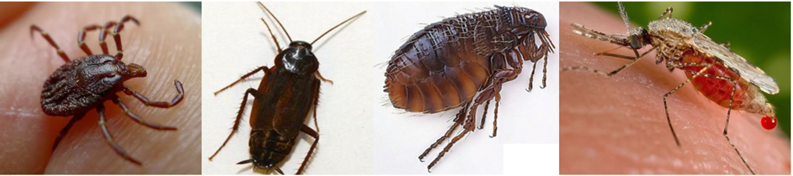 ΢ÐŽØÍ¼_20220526092848.png ΢ÐŽØÍ¼_20220526092848.png