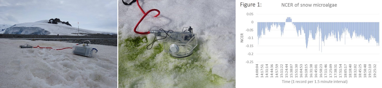 clip_image002.jpg clip_image002.jpg