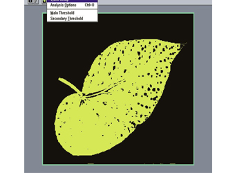 skye��ϵҶƬͼ��������