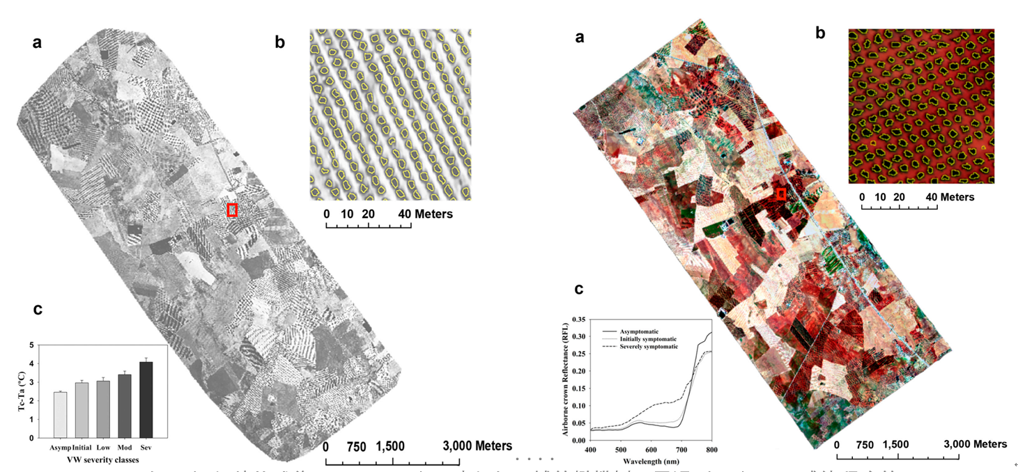 ΢ÐŽØÍ¼_20211217155313.png ΢ÐŽØÍ¼_20211217155313.png