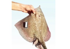 ˮ������ˮ������������̬����������