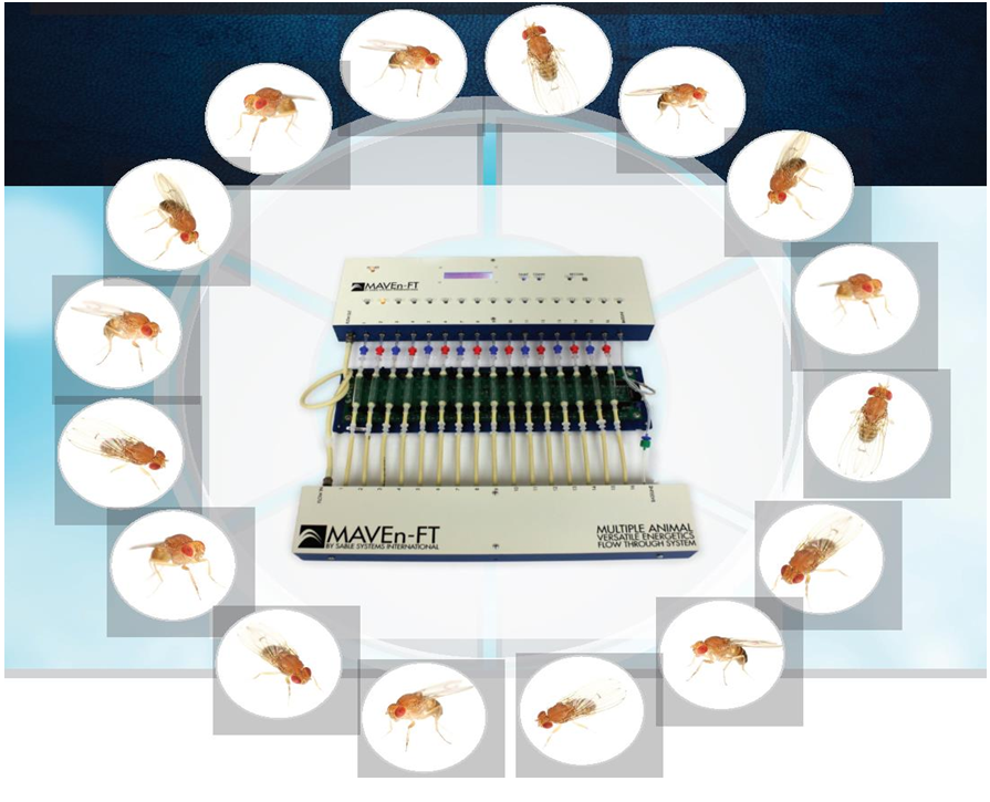 ��ͨ����������ǰ������������ͼ��ϵͳ