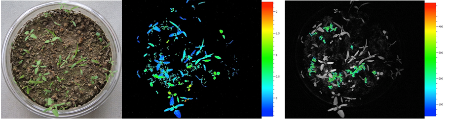 ��ҳ| ����֮��hy590���¹ٷ���վ