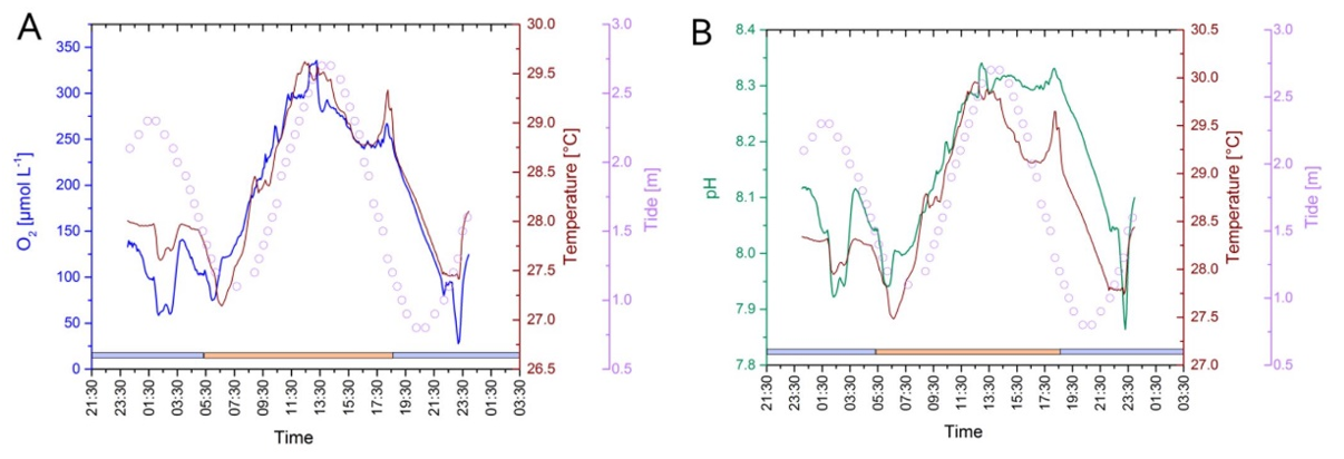 ΢ÐŽØÍ¼_20211101174357.png ΢ÐŽØÍ¼_20211101174357.png