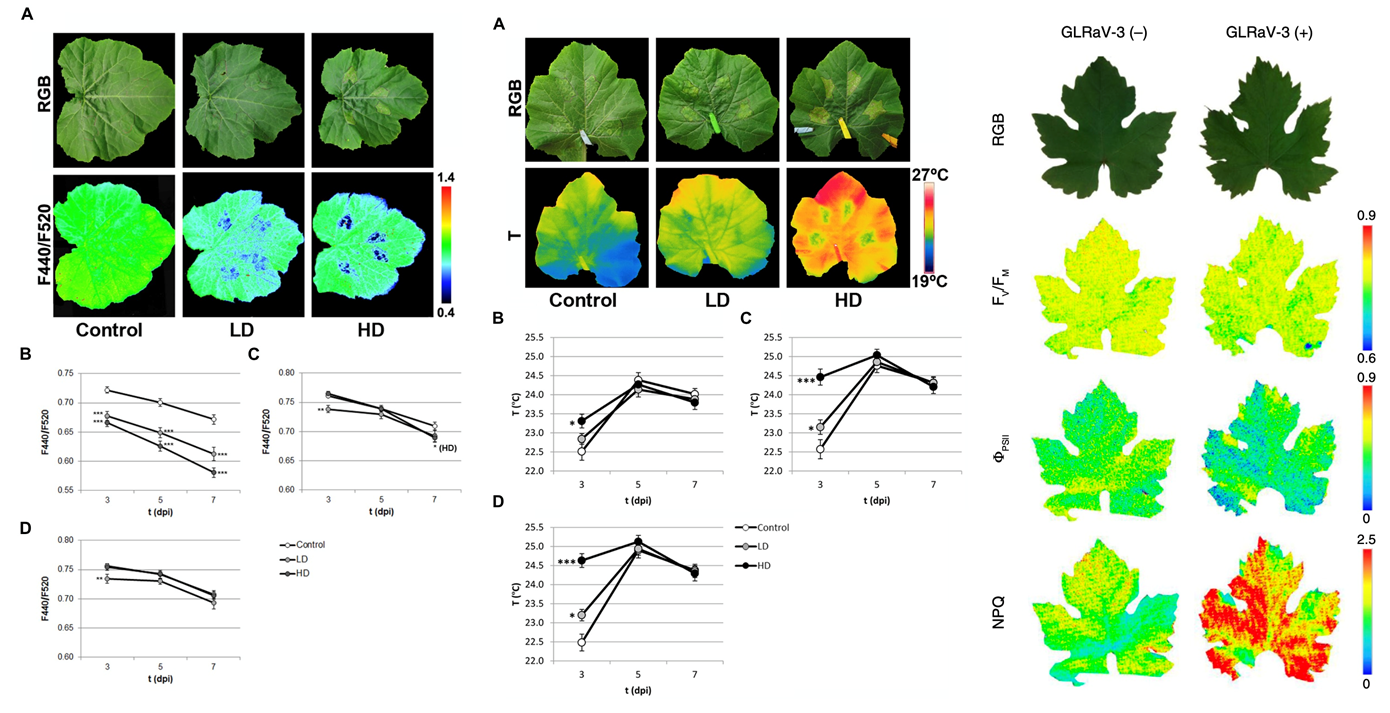 ΢ÐŽØÍ¼_20230818104328.png ΢ÐŽØÍ¼_20230818104328.png