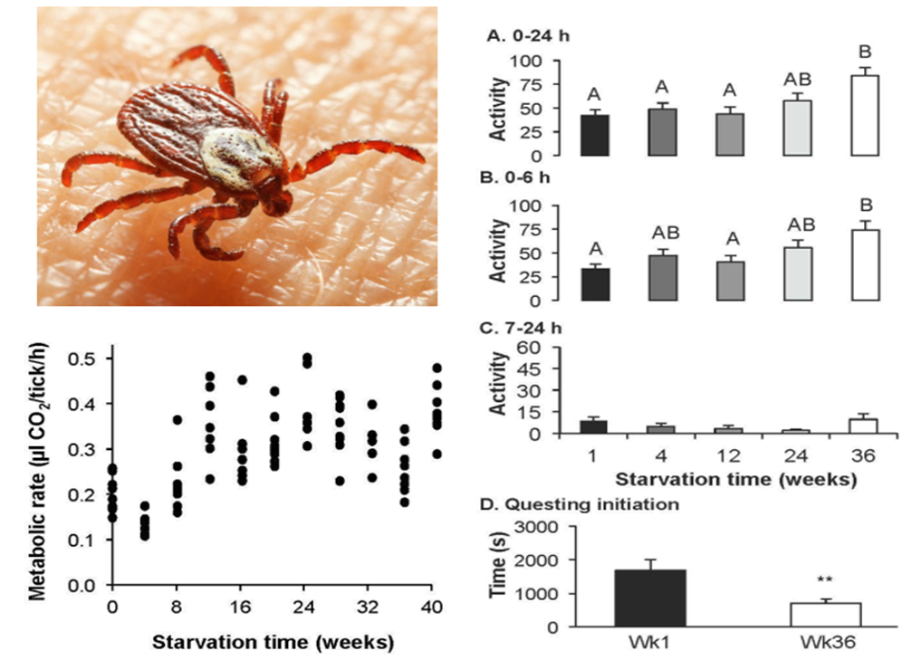 ΢ÐŽØÍ¼_20220526094525.png ΢ÐŽØÍ¼_20220526094525.png