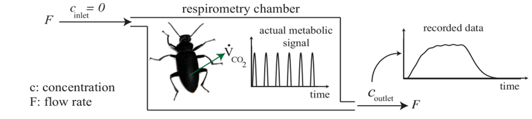 ΢ÐŽØÍ¼_20220526093238.png ΢ÐŽØÍ¼_20220526093238.png