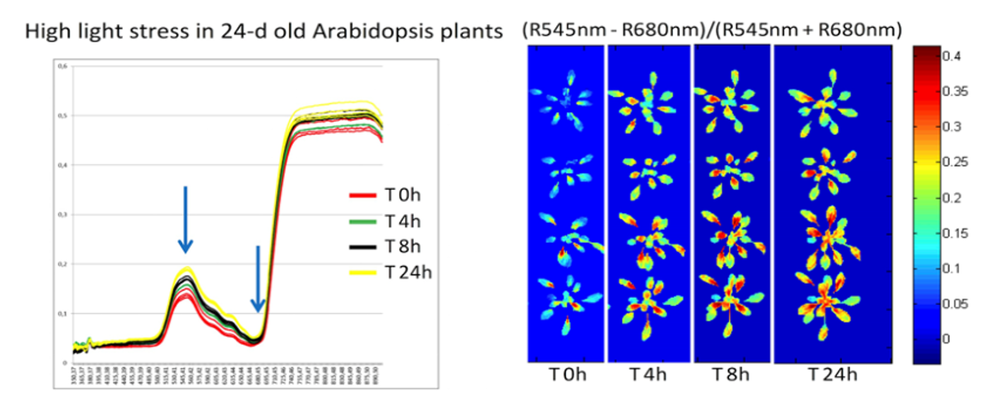 ΢ÐŽØÍ¼_20230404113959.png ΢ÐŽØÍ¼_20230404113959.png
