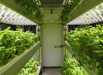 FytoScope���Ͳ���ʽ������