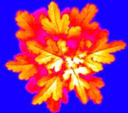 ../../../../../../../Desktop/�г�Ӫ��/2018/��Ѷ/Robin%20PSI/05