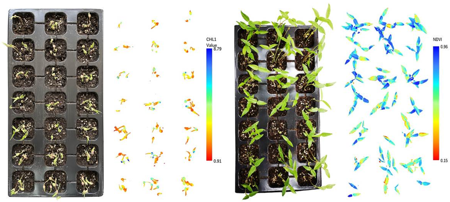 ΢ÐŽØÍ¼_20220802165053.png ΢ÐŽØÍ¼_20220802165053.png