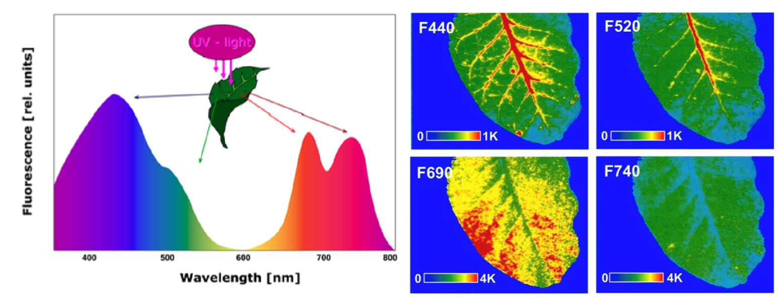 ΢ÐŽØÍ¼_20220507152646.png ΢ÐŽØÍ¼_20220507152646.png